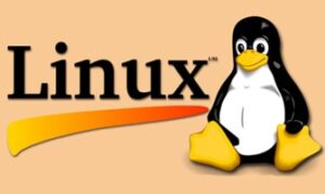 Linux